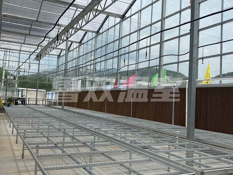 荷蘭紋絡(luò)溫室